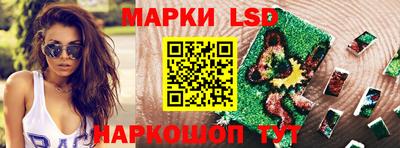 прущие грибы Новозыбков