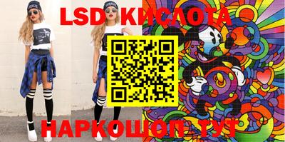 прущие грибы Новозыбков