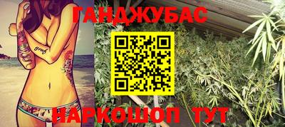 прущие грибы Новозыбков