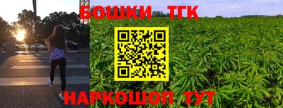 прущие грибы Новозыбков