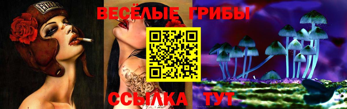 Галлюциногенные грибы Psilocybine cubensis  Вход с VPN  Ростов Великий  Псилоцибиновые грибы MAGIC MUSHROOMS 
